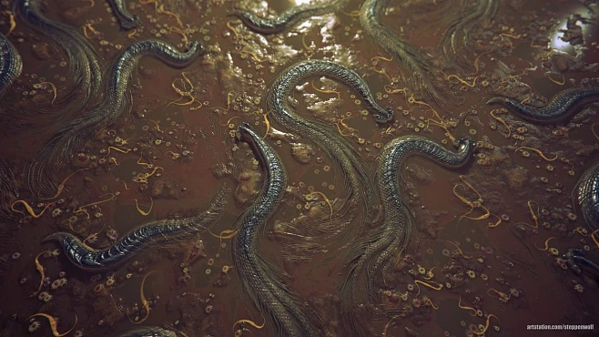 Exploring the World of Shenlong Textiles