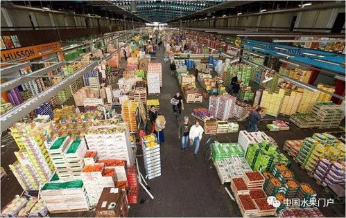 石家庄常山纺织品面料批发市场概览