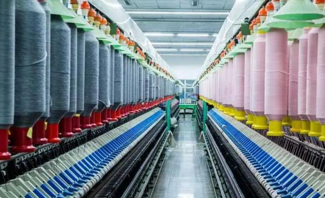The Evolution of Xiamen Aesne Textiles from Innovation to Global Brand