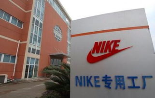 申洲纺织品牌店名推荐