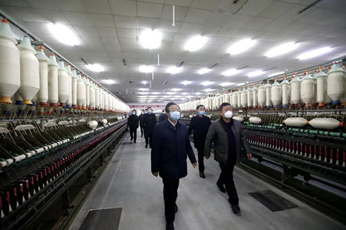 东光纺织厂，品质与创新的见证