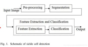 Simple Detection of Textile甲醛