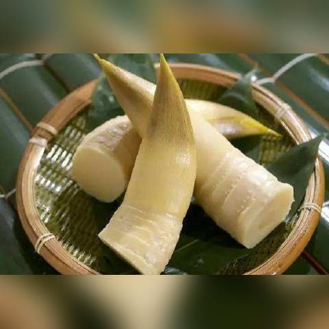 检测纺织品异味的方法