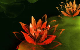 The Art of Textile and Flower Color Combination