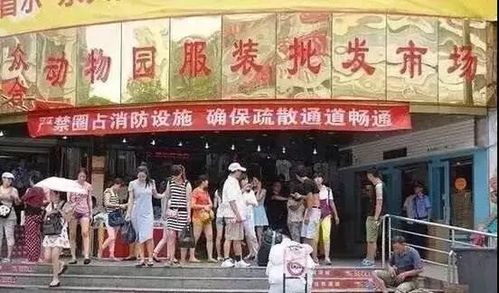 保定市绢布批发市场案例分析