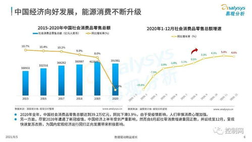 进口大件纺织品市场分析