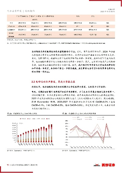纺织品股票投资指南，精选与分析