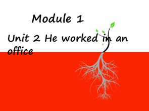 Embracing Texture in Teamwork:Designing Team Patterned Textiles