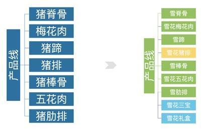 棉纺织品畅销海外品牌案例分析