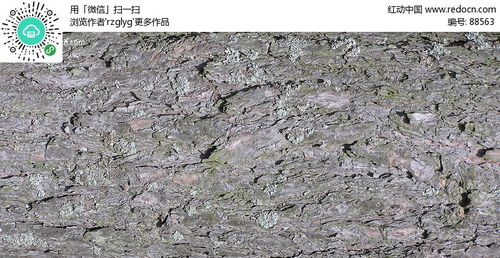 树皮纺织品品牌揭秘