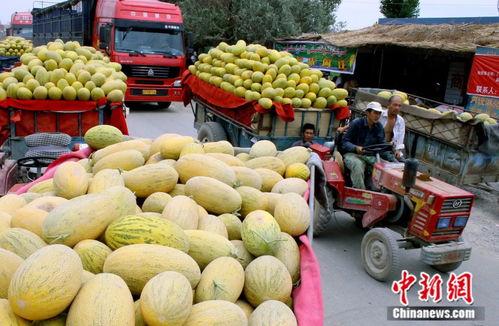 水果主题纺织品牌名字设计