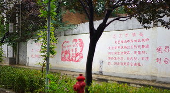 梨树纺织厂，绿色织就的纺织传奇