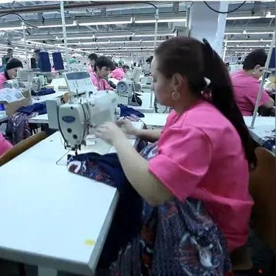 The Magic of 飞盾纺织品 案例分析与深度探讨