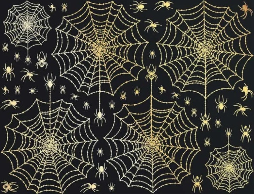 The Intricate World of Spider Silk Textiles