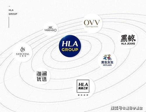 经纬度纺织品直播，引领时尚与品质的完美结合