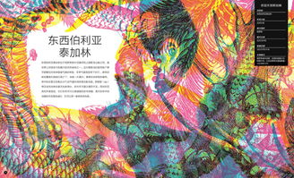马拉维纺织品，丰富多样的选择与案例分析