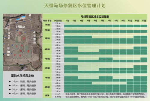 马拉维纺织品，丰富多样的选择与案例分析