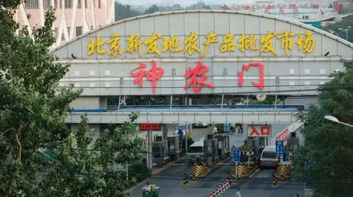 Exploring the虹口区特殊纺织品批发市场