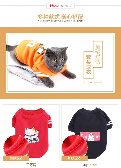 洋气猫纺织品品牌介绍