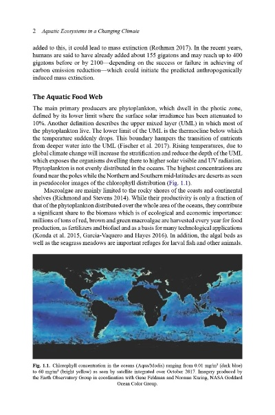 The Global Landscape of Average Textile Consumption