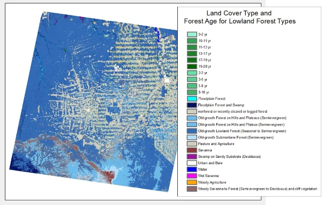 The Global Landscape of Average Textile Consumption