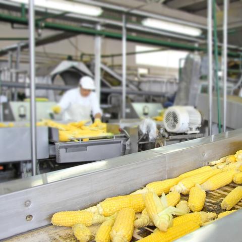 福建针纺织品批发价格概览