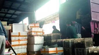 二手纺织品批发商探访记，曼城市场新视角