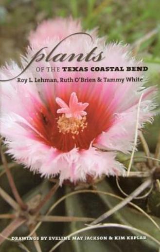 The Mystery of Textile Plant Divergence
