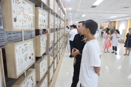 瓦格纺织品，探索与体验