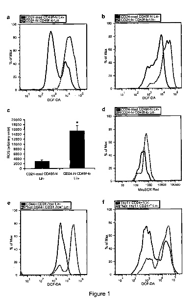 The Impact of Carcinogenic Dyes in Textiles:A Comprehensive Assessment