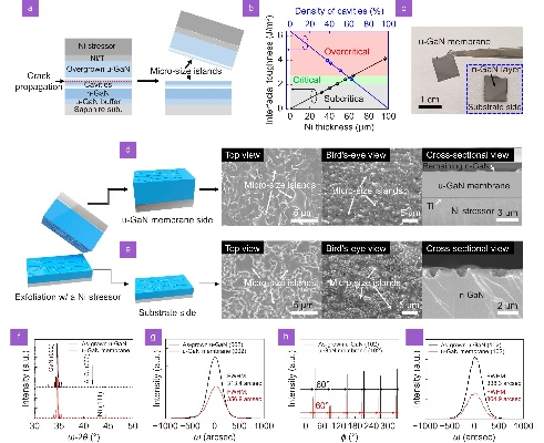 The Latest Textile Raw Material:A Comprehensive Analysis