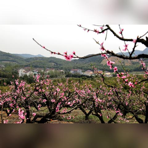 湖州其时纺织品有限公司，纺织业的绿色革新者