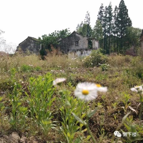 湖州其时纺织品有限公司，纺织业的绿色革新者