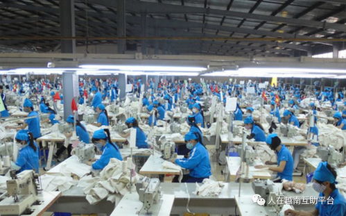 出口埃及的纺织品，一览全球纺织市场