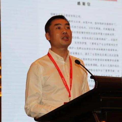 纺织品牌龙头股票代码分析