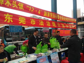 东莞市活色纺织品批发市场，探索与体验