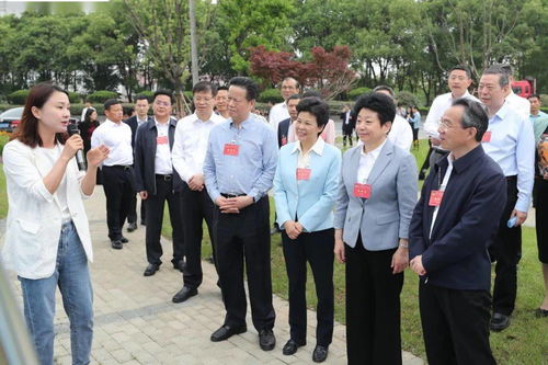 新景纺织厂，绿色发展的典范