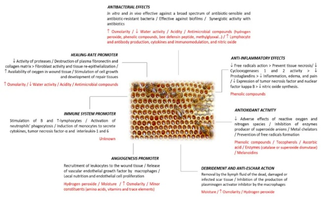 Exploring the World of Textiles:An In-Depth Analysis of Mi Honey Cotton