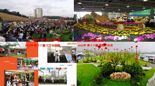南巢纺织品，探索与体验