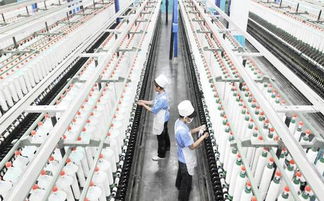 惠民梁家纺织厂:A Tale of Sustainable Innovation and Community Impact