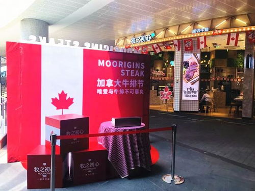 永悦纺织品店，优质商品的魅力与体验