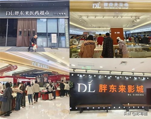 河南纺织品牌女装代理加盟，市场机遇与成功案例分析