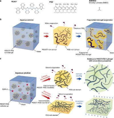 The Dynamics of Ningbo Keyang Textiles:A Comprehensive Analysis