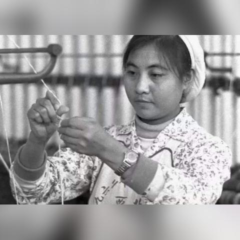 近年来，随着国家经济的快速发展和人民生活水平的提高，纺织行业得到了空前的发展机遇。本篇报告将对某纺织厂进行深入评价，旨在为消费者提供参考