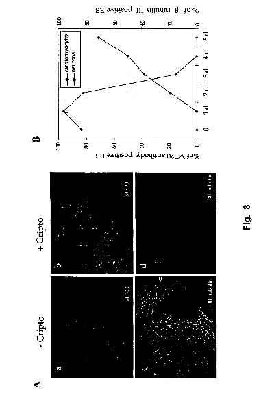 Strategies for Decontaminating and Preventing Mould Growth in Textiles