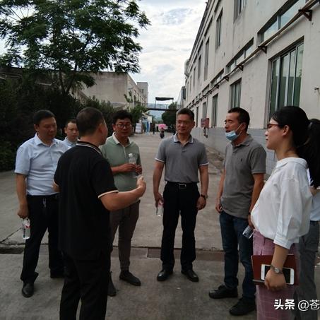 纺织品出口高速增长案例分析