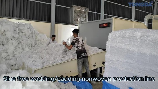 The Fabric of Innovation:An Overview of Nontong Binpa Textiles