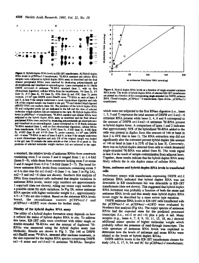 The Evaluation of Textile Antimicrobial Performance:An In-Depth Analysis