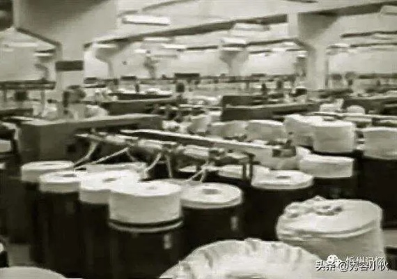 纺织厂临猗，纺织业的新篇章