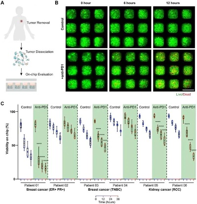 A Comprehensive Review of Omni-Medical Textiles Evaluation